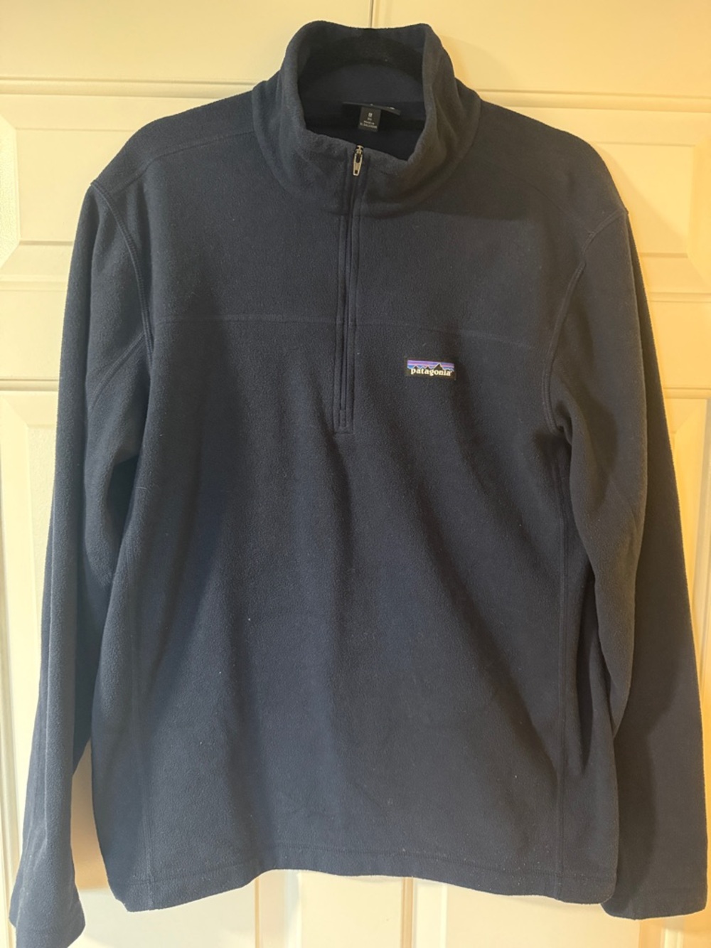Micro D Fleece Pullover - Men's